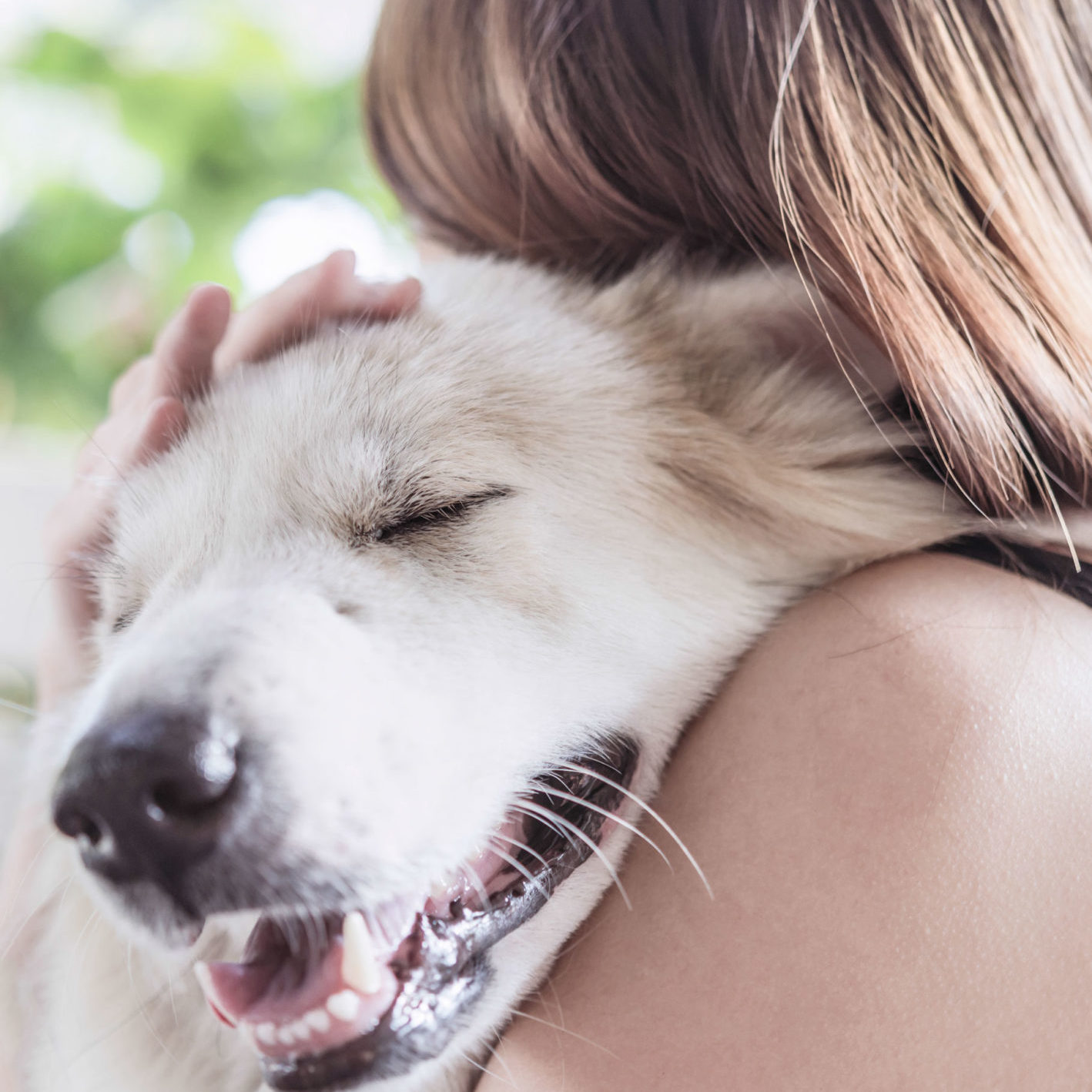 Dog Hug