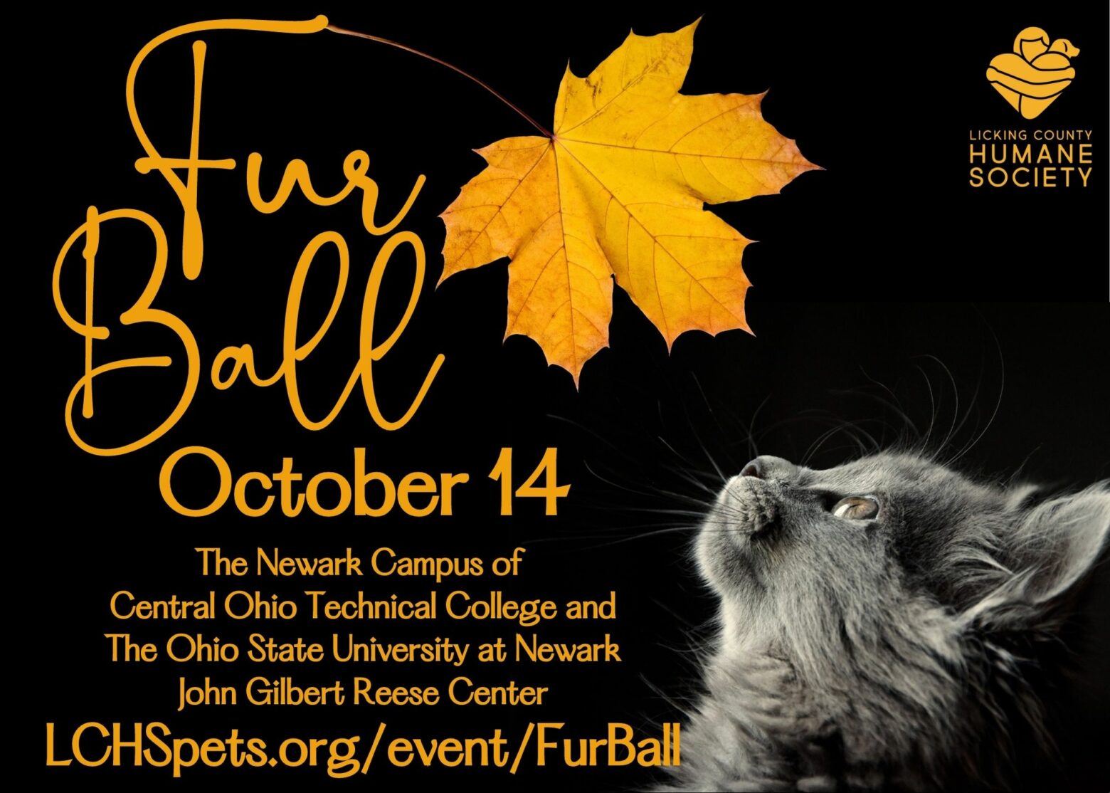 Furball pet hot sale