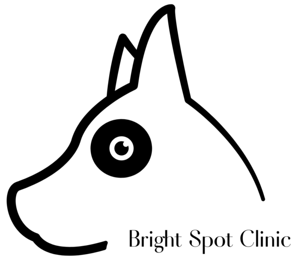 Bright-Spot-Design-1-1-600x527